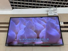 -鸿毛饺子(紫竹桥店)