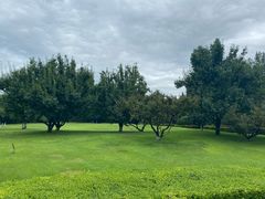 -春晖园度假酒店温泉