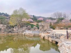 -北京西山国家森林公园