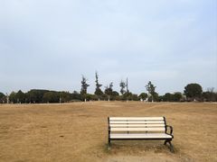 -漕湖湿地公园