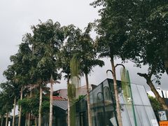 -三圣花乡旅游区