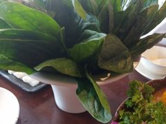 -捞神煲汤火锅(湖滨商业街店)