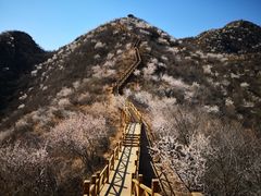 -大岭沟猕猴桃谷风景区