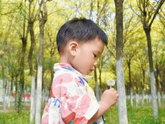 -西青郊野公园