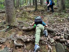 -火炉山森林公园