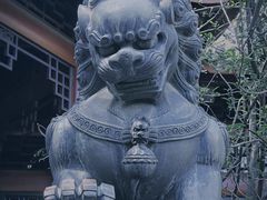 -棠湖公园
