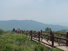 -阳台山自然风景区