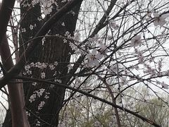 -南长河公园