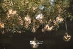 -天泰一站式婚宴·宴会厅