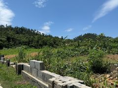 -青龙山国家森林公园