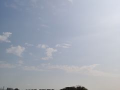 -海珠湖公园