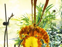 -云溪植物园