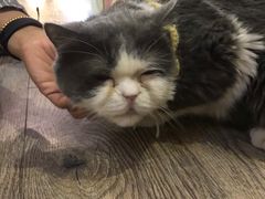 -小时光咖啡馆(开森度假森林店)