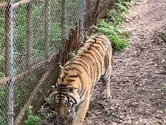 -哈尔滨北方森林动物园