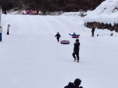 -少华山国家森林公园