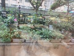 -品大三·南京菜(大行宫店)
