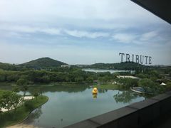 -上海佘山世茂艾美酒店