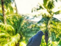 -海南清水湾莱佛士酒店