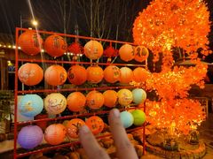 -后湖小院·乡野田园菜