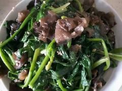 -田螺阿姨自营月嫂·育儿嫂(高新店)