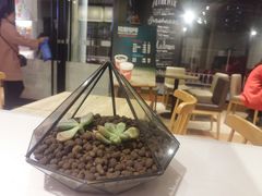 -肯德基(中州一店)