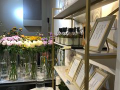 -花未央花店·WEYOUNG