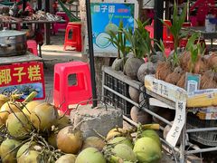 -东郊椰林