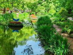 -上海共青森林公园