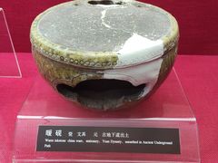 -亳州博物馆