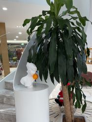 -智美品质医美