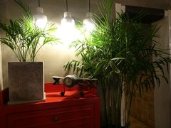 -HIGH FIVE哈福手工汉堡(桂林路店)