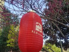 -杏花村文化旅游区
