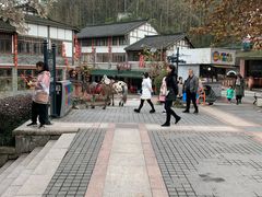 -四川省成都市彭州市白鹿镇