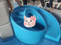 -澳洲袋鼠早教(南二环店)