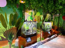 -酷嗒动物文化乐园(cutezoo西溪乐天城店)