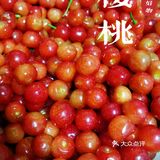 有恩桃儿（樱桃）才是完整的春天[亲亲]