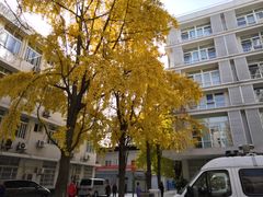 -四川大学华西第四医院