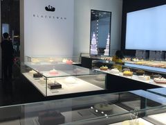 -BLACKSWAN黑天鹅(环球店)