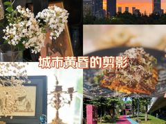 -花·fleur古董西餐厅(西城夜未央店)