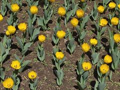 -长春公园(普阳街道)