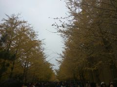-辽宁大学(崇山校区)