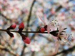 -奥体中心(地铁站)