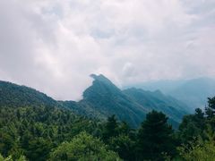 -秦岭天竺山景区