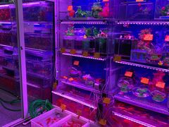 -宝鸡东道花鸟鱼虫市场(吉利花园商场店)