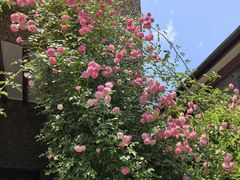 -上海孙中山故居纪念馆