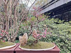 -成都杜甫草堂博物馆