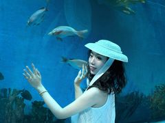 -合肥海洋世界