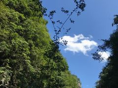 -南江大峡谷