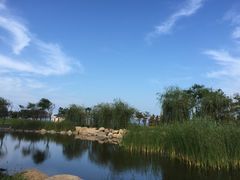 -青岛海泉湾度假区温泉