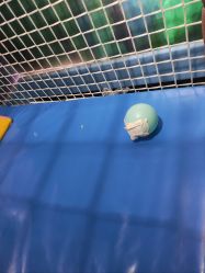 -宝贝王(天津滨海店)